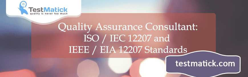 Quality Assurance Consultant: ISO / IEC 12207 and IEEE / EIA 12207 Standards