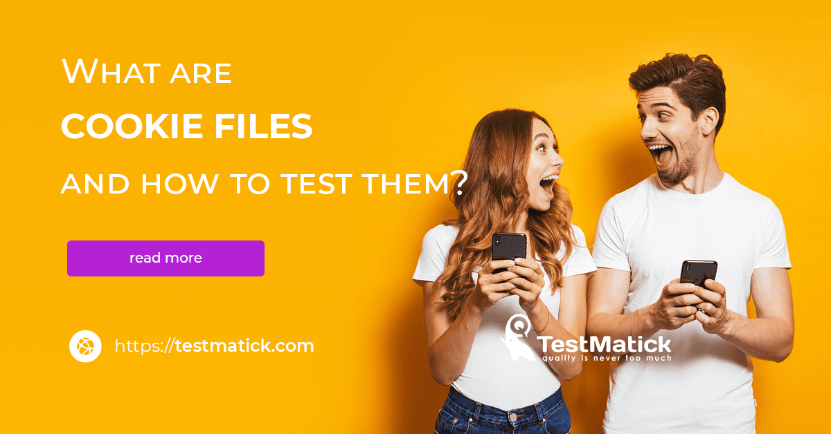 What Are Cookie Files and How to Test Them?